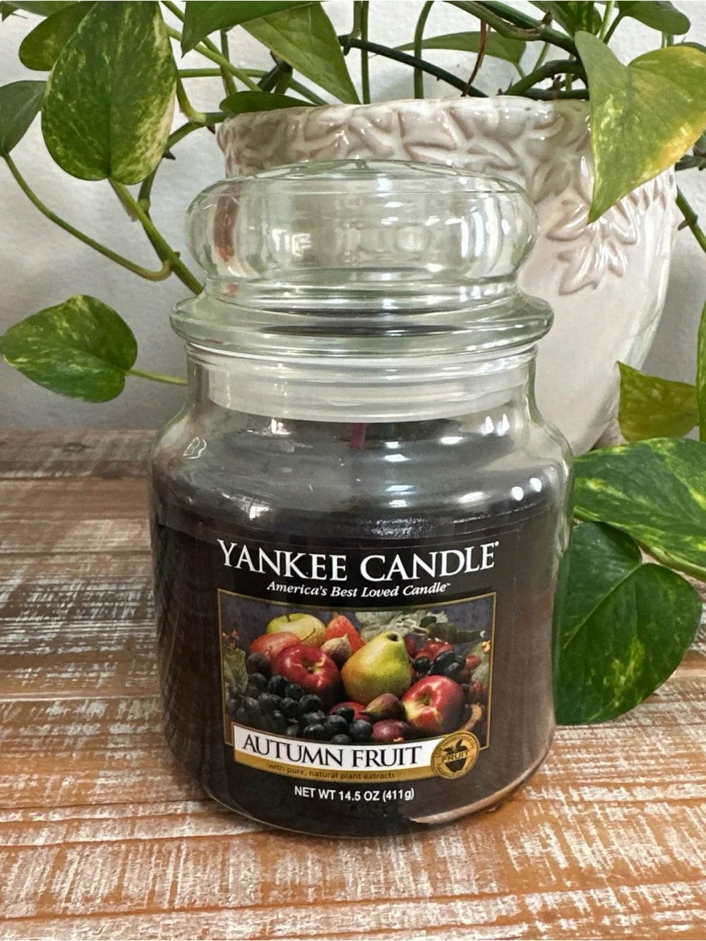 Yankee Medium Jar Candle 14.5oz Autumn fruit Seasonal Christmas Thanks Giving